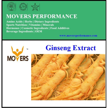 Extracto de puro ginseng natural (Ginsenosides)